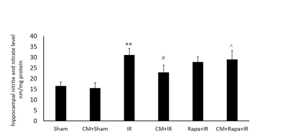 Tissue levels of nitric oxide metabolites in the different groups