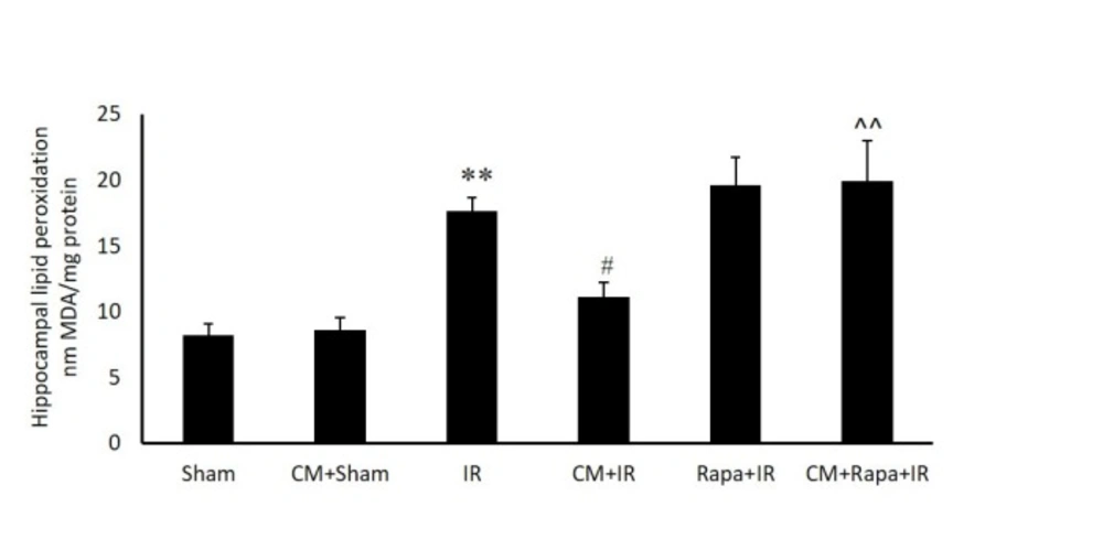 Tissue levels of malondialdehyde (MDA) in the different groups