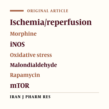 Interaction of mTOR and iNOS pathways in protection against Ischemia/Reperfusion injury