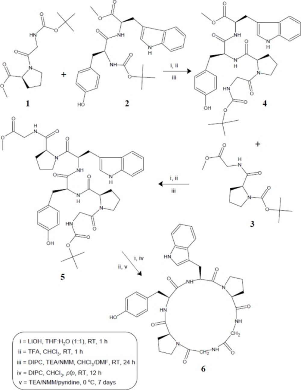 Synthetic route for hexacyclopeptide - diandrine C (<b>6</b>)