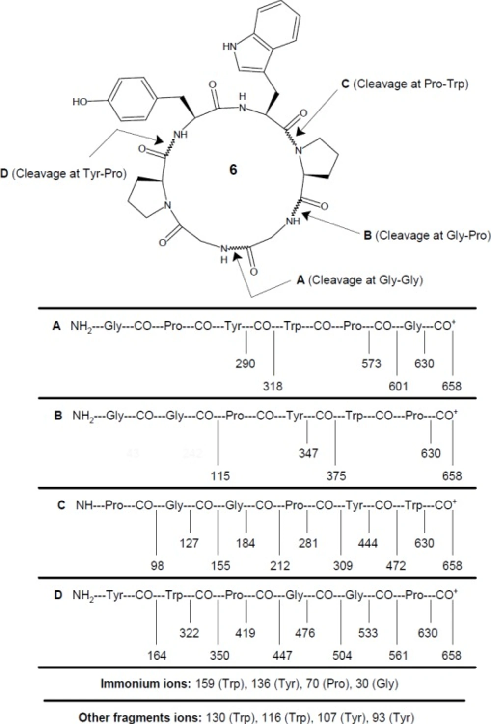 Mass fragmentation pattern for synthesized cyclohexapeptide diandrine C (<b>6</b>)