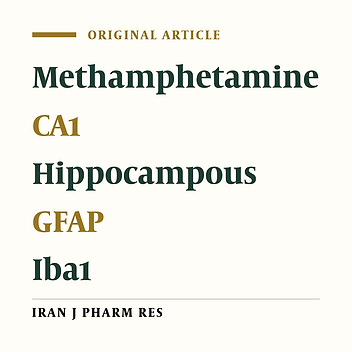Postmortem Study of Molecular and Histological Changes in the CA1 Hippocampal Region of Chronic Methamphetamine User
