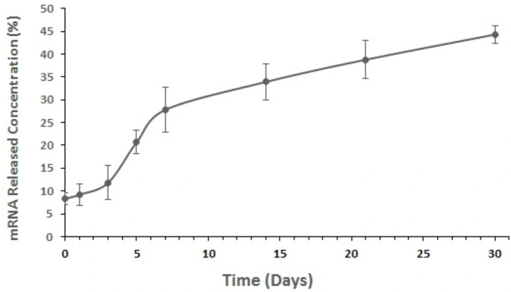 <i>In-vitro </i>release curves of mRNA from the optimized nanostructured PLGA/PEI formulation. Measurements were repeated in triplicate for each time