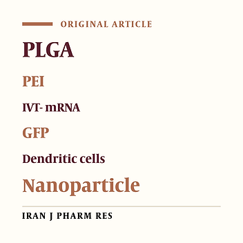 In-vitro Transcribed mRNA Delivery Using PLGA/PEI Nanoparticles into Human Monocyte-derived Dendritic Cells