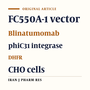 Construction of a Mammalian IRES-based Expression Vector to Amplify a Bispecific Antibody; Blinatumomab