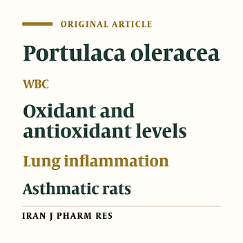 Hydro-Ethanolic Extract of Portulaca Oleracea Ameliorates Total and Differential WBC, Lung Pathology and Oxidative Biomarkers in Asthmatic Rats