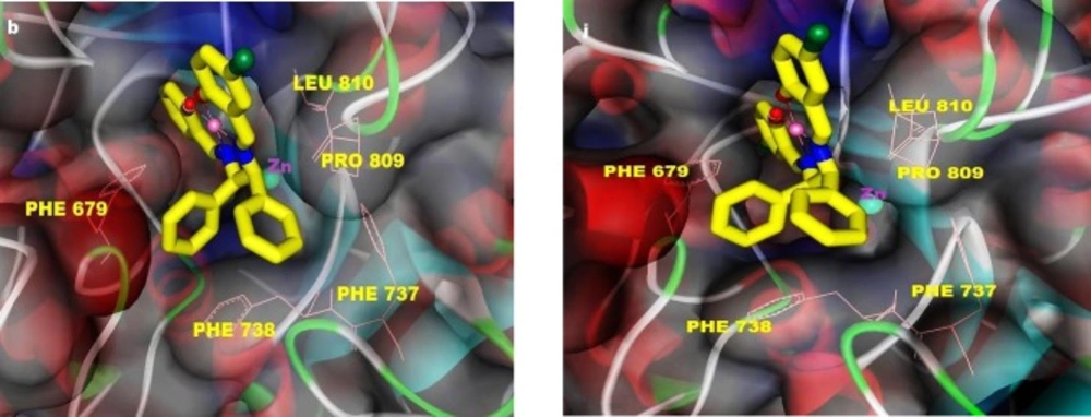 Representative binding mods of the complexes <b>2 </b>(left) and <b>10 </b>(right) docked into the HDAC7 structure (PDB ID: 3COZ). The main residues involved in hydrophobic interactions were shown