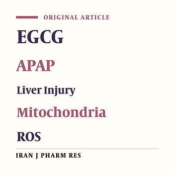 Preliminary Study on Hepatoprotective Effect and Mechanism of (-)-Epigallocatechin-3-gallate against Acetaminophen-induced Liver Injury in Rats