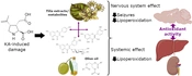 Protective Effect of Tilia americana var. mexicana Against Kainic Acid-induced Damage in Brain, Liver, and Kidney: Behavioral and Biochemical Changes