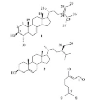 Cover image of the article: Phytochemical Analysis and Biological Activity of Salvia compressa Vent.