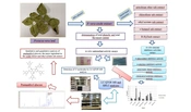 Cover image of the article: Investigation of Enzyme Inhibitory Activities, Antioxidant Activities, and Chemical Properties of Pistacia vera Leaves Using LC-QTOF-MS and RP-HPLC