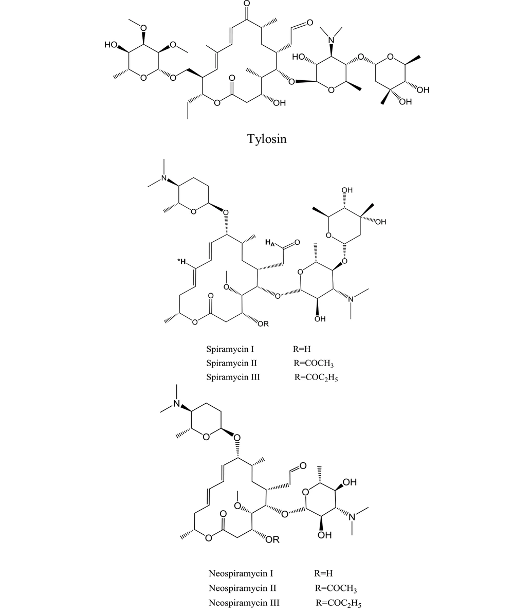 The chemical structures of tylosin, spiramycins I, II, III, and neospiramycins I, II, and III. The chemical structures of tylosin, spiramycins I, II, III, and neospiramycins I, II, and III.