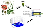 Cover image of the article: Selective and Simple Determination of Isoquinoline Alkaloids in Papaver Species by Ion Mobility Spectrometry