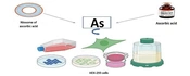 Evaluation of Ascorbic Acid Niosomes as Potential Detoxifiers in Oxidative Stress-induced HEK-293 Cells by Arsenic Trioxide