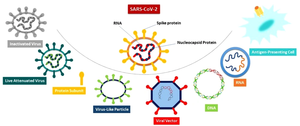 An overview of different SARS-CoV-2 vaccine platforms. An overview of different SARS-CoV-2 vaccine platforms.