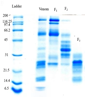Cover image of the article: Isolation of the Anticoagulant and Procoagulant Fractions of the Venom of Iranian Endemic Echis carinatus