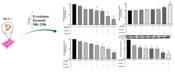 Expression Modulation of Immune Checkpoint Molecules by Ibrutinib and Everolimus Through STAT3 in MCF-7 Breast Cancer Cells