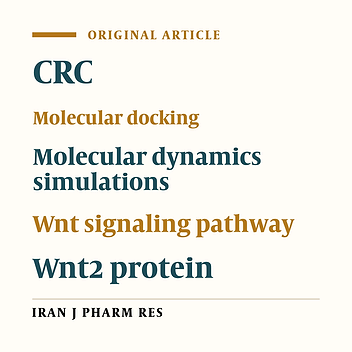 Novel Small Molecules against Two Binding Sites of Wnt2 Protein as potential Drug Candidates for Colorectal Cancer: A Structure Based Virtual Screening Approach