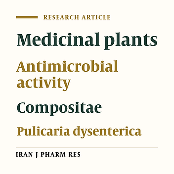 Antimicrobial Activity of Pulicaria Dysenterica L.