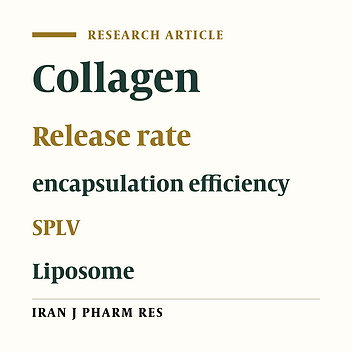 Preparation of Stable Plurilamellar Liposomes Dispersed in Two Soluble Types of Collagens and the Effect of Collagens on the Release Rate of Entrapped Sodium Chromate