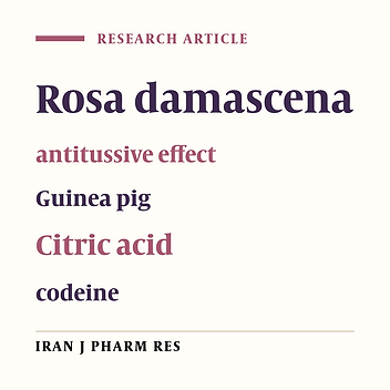 Antitussive Effect of Rosa damascena in Guinea pigs