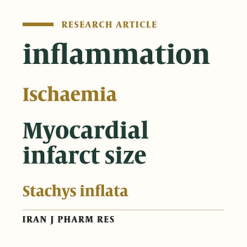 Effects of hydroalcoholic extract from aerial parts of the sterile stems of Stachys inflata on myocardial infarct size in rats
