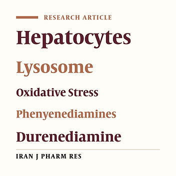 Lysosomal Oxidative Stress Cytotoxicity Induced By Para-phenylenediamine Redox Cycling In Hepatocytes