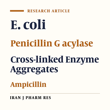 Optimization of Enzymatic Synthesis of Ampicillin Using Cross-Linked Aggregates of Penicillin G Acylase