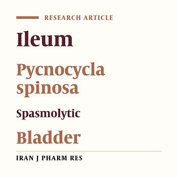 Effect of Hydroalcoholic Extract of Pycnocycla spinosa on Rat Isolated Bladder Contraction