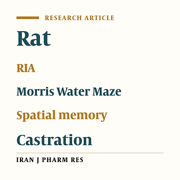 No Significant Difference Between Intact and Testosterone Depleted or Administrated Male Rats in Spatial Learning and Memory