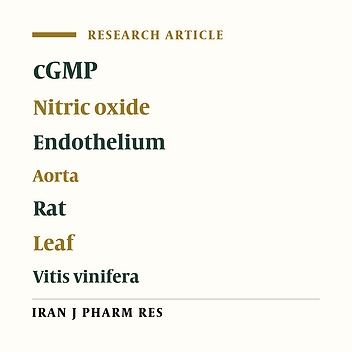 Vasorelaxatory Effect of Vitis vinifera Extract on Rat Aorta