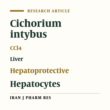Hepatoprotective Activity of Cichorium intybus L. Leaves Extract Against Carbon Tetrachloride Induced Toxicity