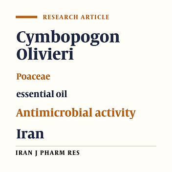 Antimicrobial Activity and Composition of the Essential Oil of Cymbopogon Olivieri (Boiss.) Bor from Iran