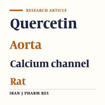 The Involvement of L-Type Voltage-Operated Calcium Channels in the Vascular Effect of Quercetin in Male Rats