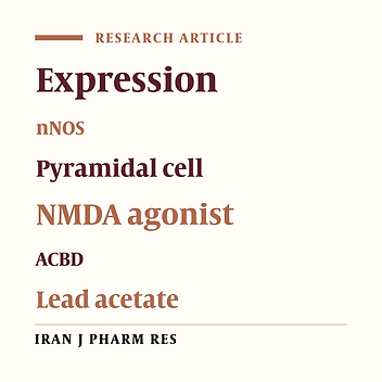 Lead exposure impairs the NMDA agonist-induced NOS expression in pyramidal hippocampal cells