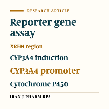 An Alkaline Phosphatase Reporter Gene Assay for Induction of CYP3A4 In Vitro
