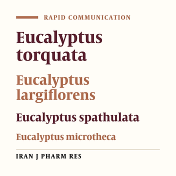 Chemical Composition of the Essential Oils of Four Cultivated Eucalyptus Species in Iran as Medicinal Plants (E. microtheca, E. spathulata, E. largiflorens and E. torquata)