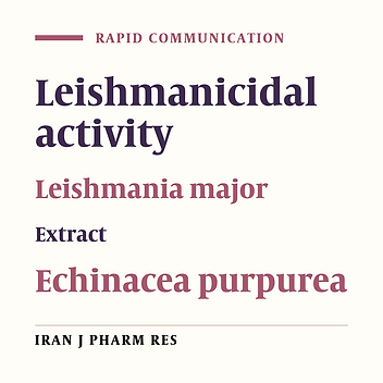 Antileishmanial Effect of Echinacea purpurea Root Extract Cultivated in Iran