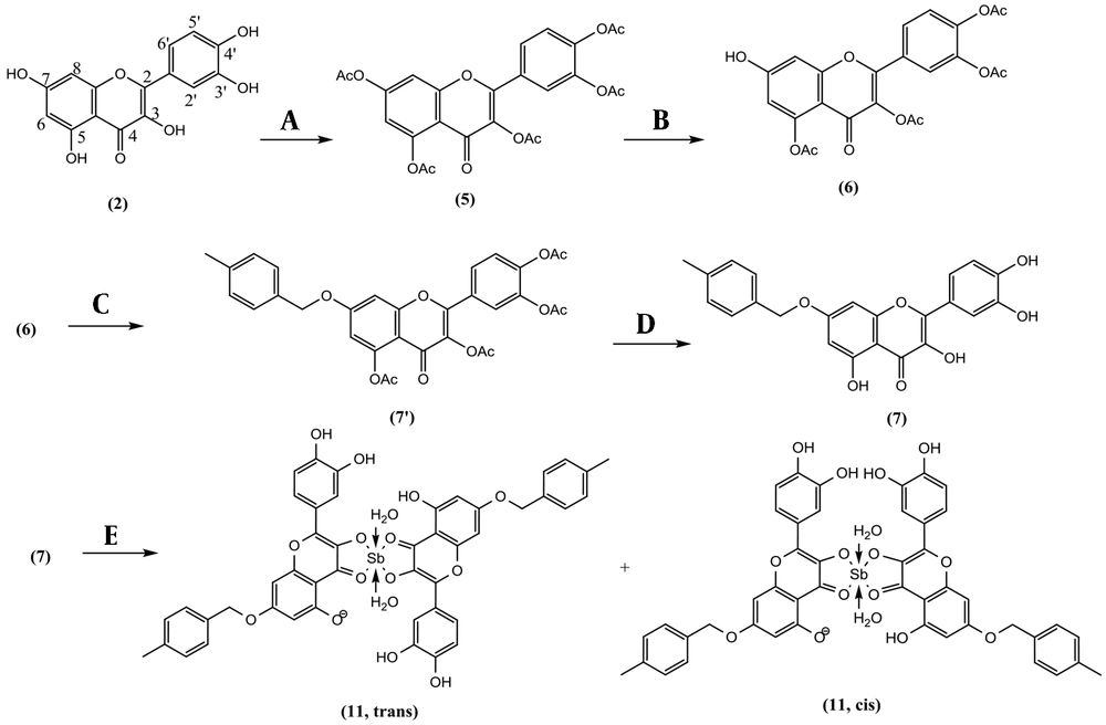 Reagents and conditions for the synthesis of Sb(V) 7-O-paramethylbenzyl Quercetin complex: (A) Anhydride acetic (Ac<sub>2</sub>O), N-Methyl-2-pyrrolidone (NMP), 140°C, 8 h, Yield: 81.7 % (B) Thiophenol, imidazole, NMP, <sup>-1</sup>0°C, 1 h, yield: 41.1 % (C) 4-methylbenzyl chloride, Na<sub>2</sub>CO<sub>3</sub>, acetone, room temperature, 3 h. (D) NH3/MeOH (2M), 0°C, 5 min, yield: 35.2 % (e) SbCl<sub>5</sub>, glacial acetic acid, MeOH, 30 min. Reagents and conditions for the synthesis of Sb(V) 7-O-paramethylbenzyl Quercetin complex: (A) Anhydride acetic (Ac<sub>2</sub>O), N-Methyl-2-pyrrolidone (NMP), 140°C, 8 h, Yield: 81.7 % (B) Thiophenol, imidazole, NMP, <sup>-1</sup>0°C, 1 h, yield: 41.1 % (C) 4-methylbenzyl chloride, Na<sub>2</sub>CO<sub>3</sub>, acetone, room temperature, 3 h. (D) NH3/MeOH (2M), 0°C, 5 min, yield: 35.2 % (e) SbCl<sub>5</sub>, glacial acetic acid, MeOH, 30 min.