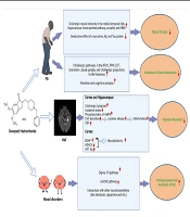 Donepezil Beyond Alzheimer's Disease? A Narrative Review of Therapeutic Potentials of Donepezil in Different Diseases