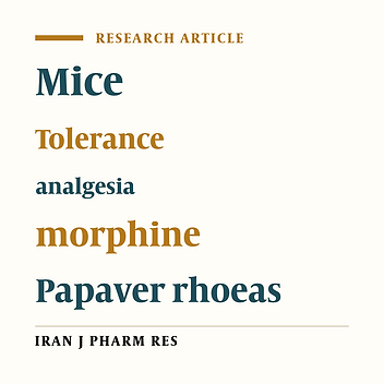 Effects of Papaver rhoeas Extract on the Tolerance Development to Analgesic Effects of Morphine in Mice