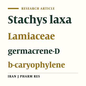 Composition of the Essential Oil of Stachys laxa Boiss. and Buhse