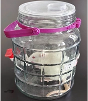 A New Method for Breath and Blood Alcohol Determination in Rats Using a Breath Alcohol Meter: An Experimental Study