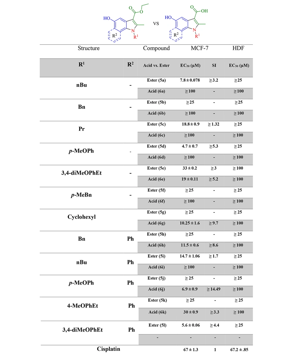 Half-maximal effective concentration in MCF-7 and human dermal fibroblasts for target indole esters (5) and acids (6). HDF, human dermal fibroblasts; EC<sub>50</sub>, half-maximal effective concentration; SI, selectivity index. Half-maximal effective concentration in MCF-7 and human dermal fibroblasts for target indole esters (5) and acids (6). HDF, human dermal fibroblasts; EC<sub>50</sub>, half-maximal effective concentration; SI, selectivity index.