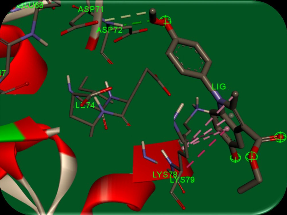 Binding modes of ethyl 5-hydroxy-1-(4-methoxyphenyl)-2-methyl-1h-indole-3-carboxylate (5d) in the active site of survivin protein (PDB entry: 3UIH) Binding modes of ethyl 5-hydroxy-1-(4-methoxyphenyl)-2-methyl-1h-indole-3-carboxylate (5d) in the active site of survivin protein (PDB entry: 3UIH)