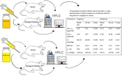 Cover image of the article: Amphotericin B Pharmacokinetics: Inter-strain Differences in Rats Following Intravenous Administration of the Most Commonly Marketed Formulations of the Drug