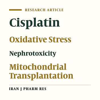 The Effect of Donor Rat Gender in Mitochondrial Transplantation Therapy of Cisplatin-Induced Toxicity on Rat Renal Proximal Tubular Cells