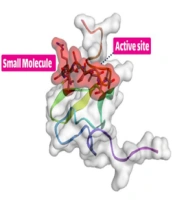 The Interaction of SRL-2 Peptide with LRP-1 Receptor and Identification of Breast Cancer Related Biomarkers: An In-silico Approach