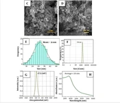Antibacterial Activity and Toxicity of Zinc Oxide Nanoparticles Combined with Supernatants of Lactobacillus spp. Against ESKAPE Bacteria: A Novel Mixture