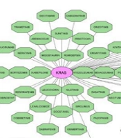 Unveiling Key Biomarkers and Therapeutic Drugs in Polycystic Ovary Syndrome (PCOS) Through Pathway Enrichment Analysis and Hub Gene-miRNA Networks